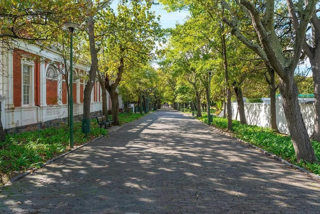 Urban Utopia In The Heart Of The East City Cape Town